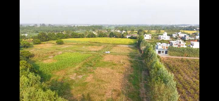 Dhakia Gulaboo Main Image 1