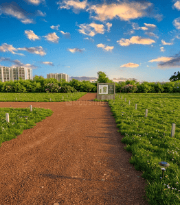 Image of 2500 Sq.ft Residential Plot / Land for sale in Amleshwar, Raipur for Rs. 1747518
