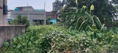 ICHAPUR PRANTIK Plot View 2