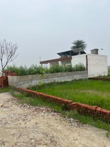 ROYAL CITY JEWAR FARM LAND Plot View 3