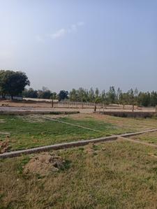 Amethi Plot View 3