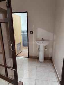 Bathroom Image of 1800 Sq.ft 3 BHK Apartment / Flat for rent in Sector-2 Rohtak for Rs. 13000