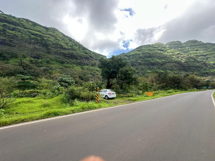 Tamhini Main Image 1
