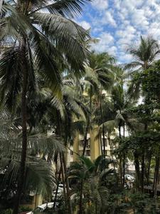 Image of 550 Sq.ft 1 BHK Apartment / Flat for rent in Juhu, Mumbai for Rs. 90005