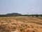 Kadthal Main Image 1