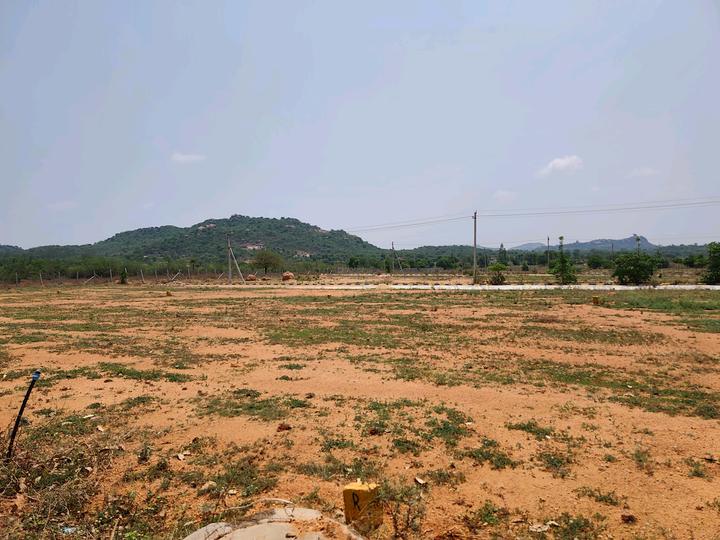 Kadthal Main Image 1