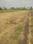 Kachipuram Town Main Image 1