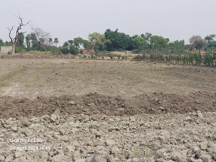 Mohanlalganj Main Image 1