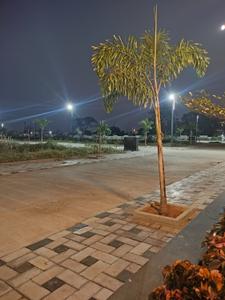 Nainod Plot View 3