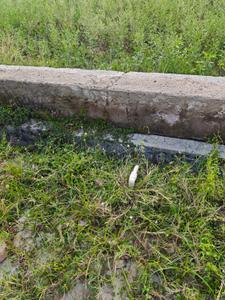 Image of 1625 Sq.ft Residential Plot / Land for sale in Bichpuri, Agra for Rs. 5500000