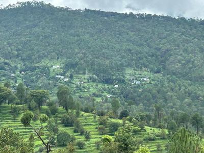 Image of 1800 Sq.ft Residential Plot / Land for sale in Airari, Ranikhet for Rs. 800000