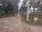 Sindhuvalli Main Image 1