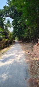 Kodalla Plot View 3