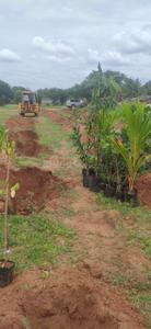 Image of 21780 Sq.ft Residential Plot / Land for sale in Shoolagiri, Krishnagiri for Rs. 3500000