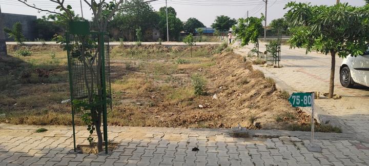 Narwana Main Image 1