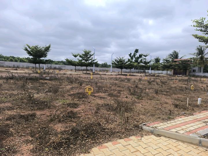 Devanahalli Main Image 1