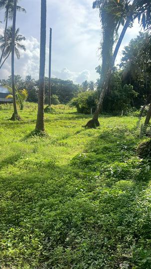 Cheroor Main Image 1