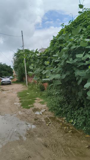 Nijampur Malhaur Main Image 1