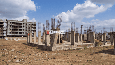 Ozar Plot View 2