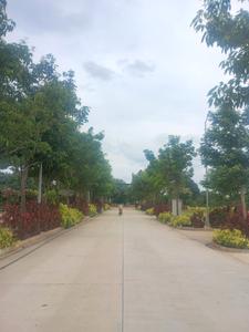Image of 183 Sq.ft Residential Plot / Land for sale in Sreenagar, Hyderabad for Rs. 4000010