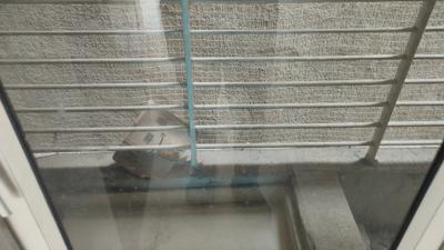 Balcony Image of 1110 Sq.ft 2 BHK Apartment / Flat for sale in Amanora Aspire Towers, Hadapsar Pune for Rs. 15300000