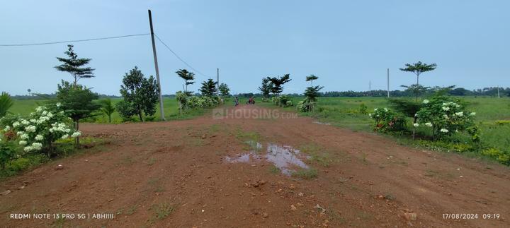 Phulnakhara Main Image 1