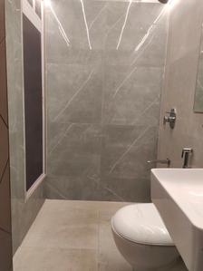 Common Bathroom Image of 420 Sq.ft 1 BHK Apartment / Flat for sale in Emerald Dotom Isle, Kandivali West Mumbai for Rs. 8200000
