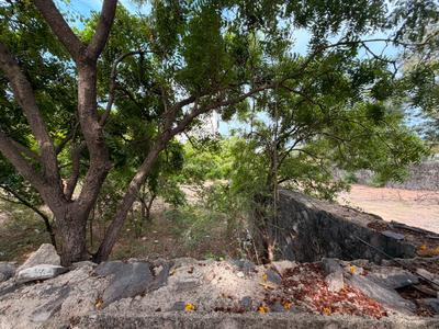 Image of 6000 Sq.ft Residential Plot / Land for sale in Injambakkam, Chennai for Rs. 100000000