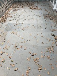 Image of 1000 Sq.ft 2 BHK Builder Floor for sale in Sector 49, Gurgaon for Rs. 14500000
