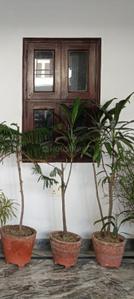 Balcony Image of 1800 Sq.ft 2 BHK Independent House for rent in Sector 50 Noida for Rs. 28000