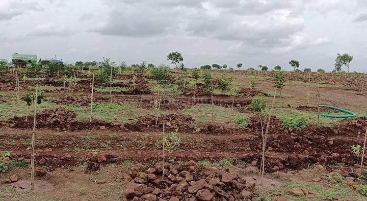 Neemsboro Oxyridge Farms Main Image 1