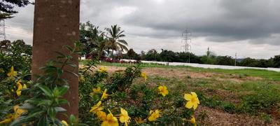 Image of 1500 Sq.ft Residential Plot / Land for sale in Madhura Lotus, Kaggalipura, Bengaluru for Rs. 8200000