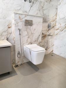 Common Bathroom Image of 2100 Sq.ft 4 BHK Builder Floor for sale in Sector 52 Gurgaon for Rs. 33000000