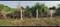 Individual Plot Main Image 1