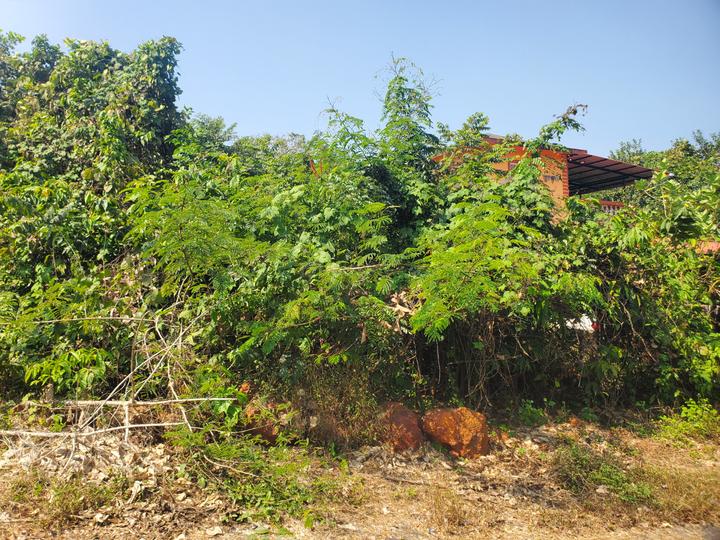 Kadamba plateau  Govt Plot Main Image 1