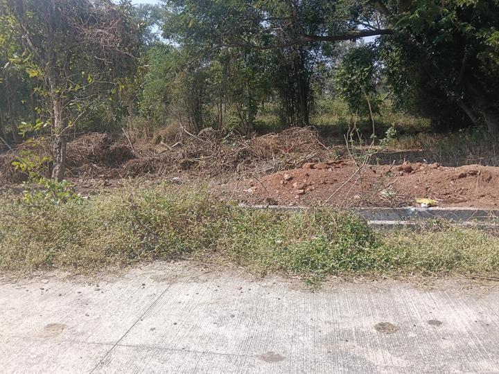 Site selling Main Image 1