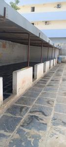 Image of 700 Sq.ft 1 RK Independent House for rent in Gopal Nagar, Ongole for Rs. 15000