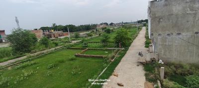Salempur Plot View 2