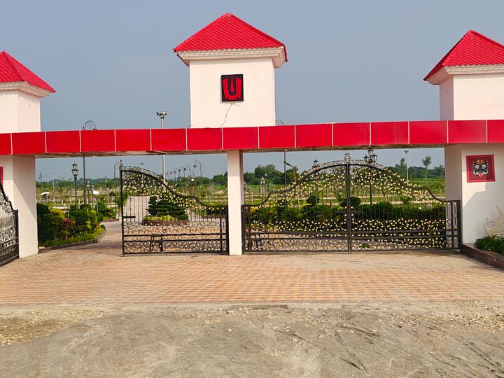 Jamwasi Main Image 1