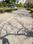 Swastik Greens Internal Roads 1