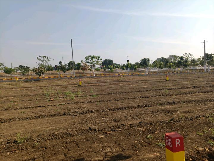 Alekhya NSR County Phase I Main Image 1