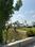 Ringnodiya Main Image 1
