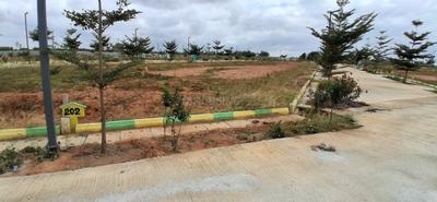 Residential Plot