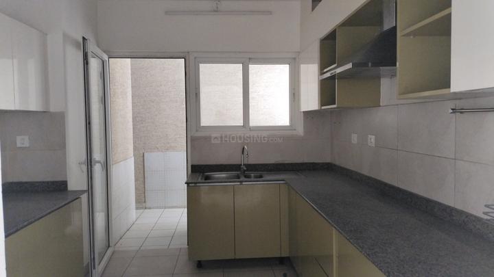 The Icon Main Image 1