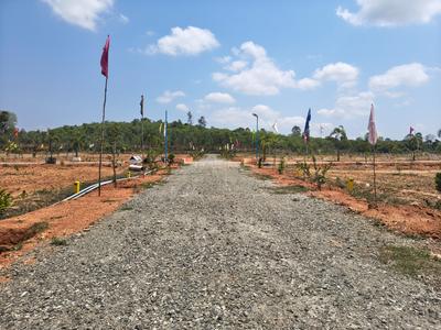 SS VALLEY Plot View 3
