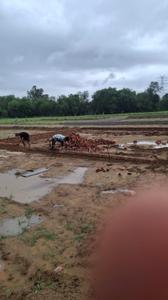 Image of 900 Sq.ft Residential Plot / Land for sale in Silani, Gurgaon for Rs. 1400000