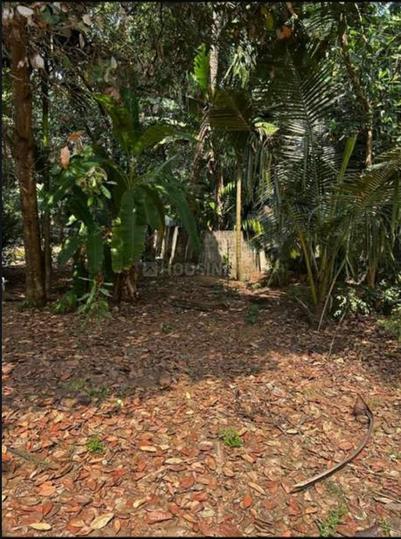 Edathala Main Image 1