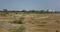 Land Plot View 2