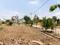 VINAYAKA HILLS RESIDENAIL LAYOUT  CHIKKABETTAHALLI  ADITHYA NAGARVIDAYARANAYPURA  Plot View 1