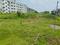 Natagachi Main Image 1